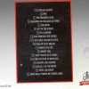 Bruce Springsteen - All Those Years Vol. 5  ( Templar - Great Dane )