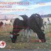 Pink Floyd - Atom Heart Moo Live( DV More Record )  ( 2 CD  SET ) (Mother's, Birmingham , UK , Mar 8th 1970)