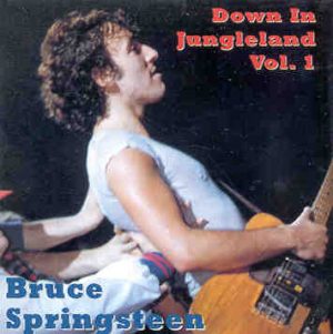 Bruce Springsteen - Down In Jungleland Vol 1 ( Springfield , August 22nd , 1973 )