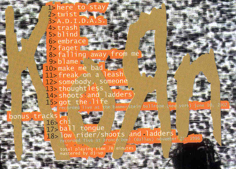 Korn - The Torture Never Stops ( Swingin Pig )