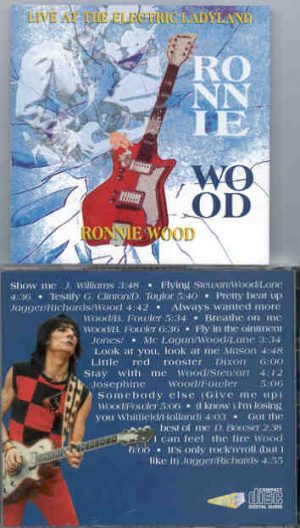 Rolling Stones - Live At The Electric Ladyland ( RON WOOD )