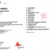 Jimi Hendrix - Message Of Love ( Triangle Recs ) ( Downing Stadium , New York , July 17th , 1970 )