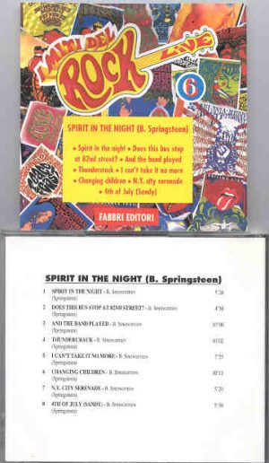 Bruce Springsteen - Spirit In The Night  ( Fabbri Editori )