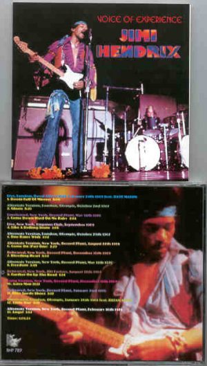 Jimi Hendrix - Voice Of Experience